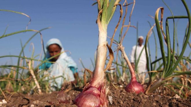 வெங்காய விலை: வெங்காயமில்லாமலேயே கண்களில் தண்ணீர்! 10