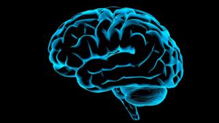 வாகன சோதனையில் சிக்கிய ஜாடிக்குள் அடைக்கப்பட்ட மனித மூளை மற்றும் பிற செய்திகள் 6