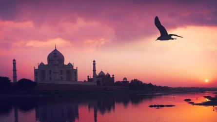 டொனால்ட் டிரம்ப் இந்திய வருகை: கங்கை நீரால் சுத்தம் செய்யப்படும் யமுனை நதி 19