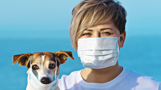 கொரோனா வைரஸ் குறித்த முக்கிய அறிவிப்பை வெளியிட்டது உலக சுகாதார ஸ்தாபனம் 7