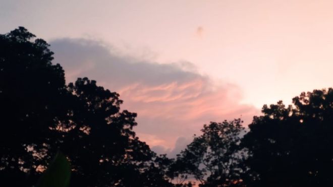 கொரோனா வைரஸ்: இலங்கையில் காணப்படும் செந்நிற வானம் - காரணம் என்ன? 3