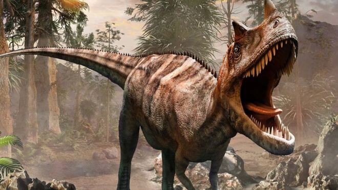 மனிதர்கள் அழிந்த பிறகு புவியில் என்னவெல்லாம் நிகழும்? - ஒரு டைம் ட்ராவல் 4