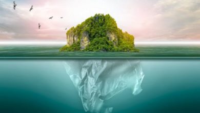 புவி வெப்பமயம்: "துருவ பகுதியில் உருகும் பனி - ஆந்த்ராக்ஸ் பரவலாம், அணுக்கழிவு வெளியாகலாம்" 1