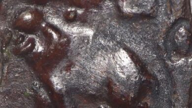 தமிழர் வரலாறு பற்றி புதிய செய்திகள்: சங்ககால சோழர் நாணயத்தில் மனித உருவம் 1