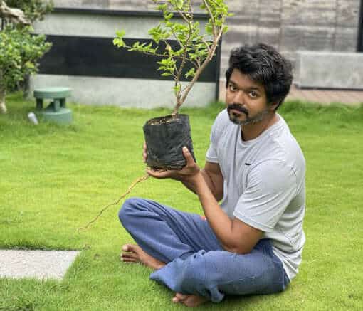 நடிகர் மகேஷ் பாபுவின் கிரீன் இந்தியா சேலஞ்சை ஏற்று, நடிகர் விஜய் தனது வீட்டில் மரக்கன்று ஒன்றை நட்டுள்ளார் 1