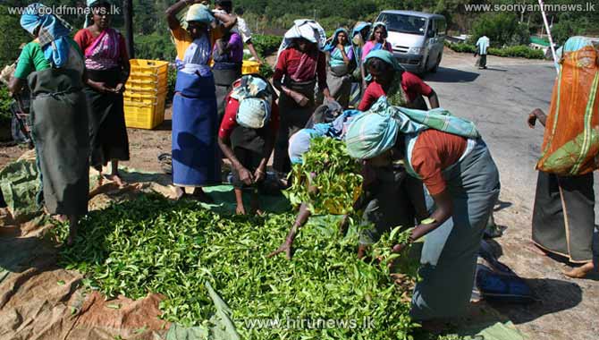 ஆயிரம் ரூபா...; மார்ச் மாதம் முதல் 5
