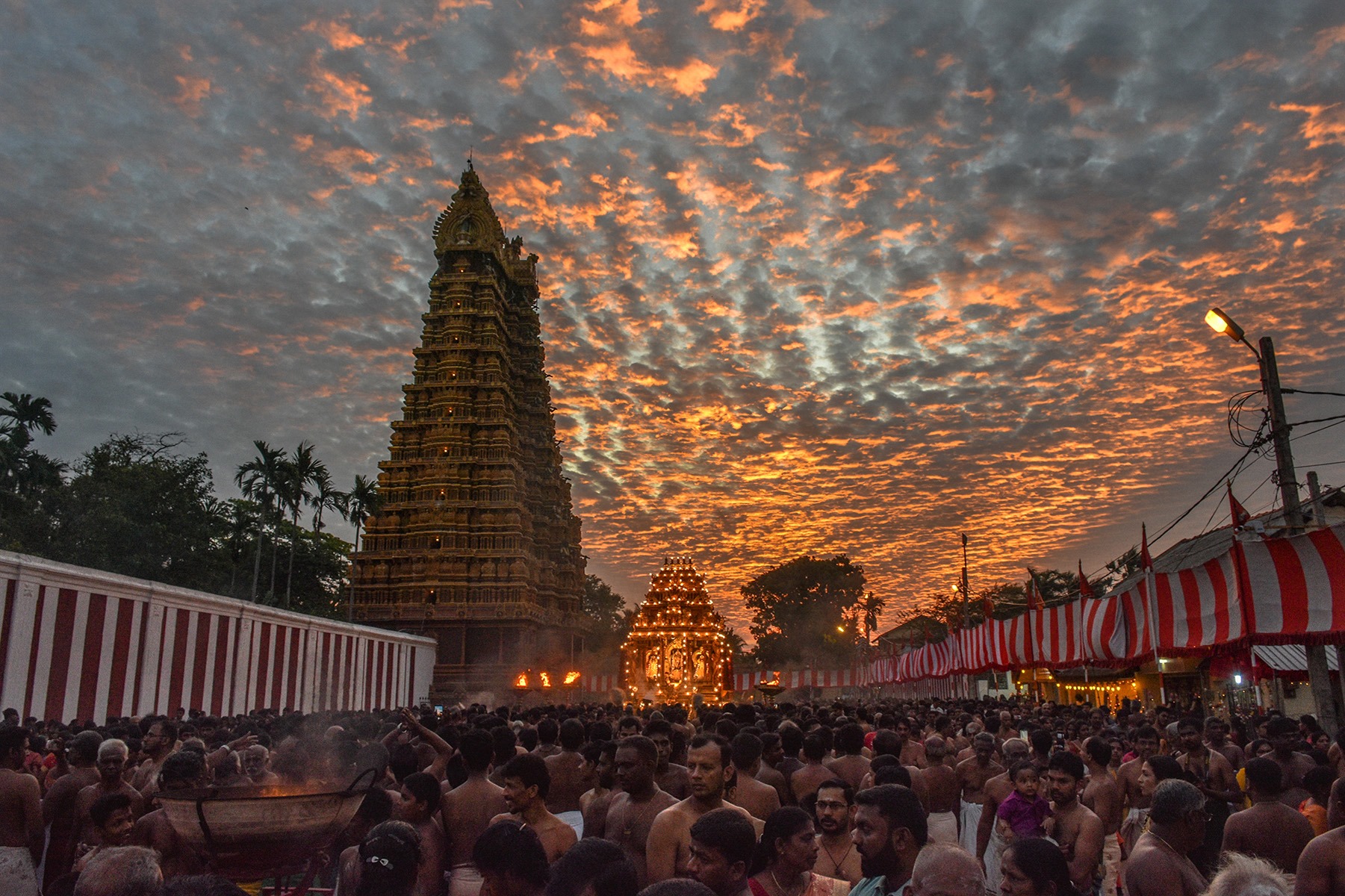 நல்லூர்க் கந்தசுவாமி ஆலய வருடாந்த திருவிழாவின் 10 ஆம் திருவிழாவான மஞ்சத் திருவிழா. 37