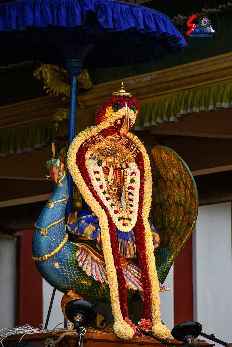 யாழ்ப்பாணம் – நல்லூர் (Nallur) கந்தசுவாமி கோவில் 4ம் திருவிழா 19