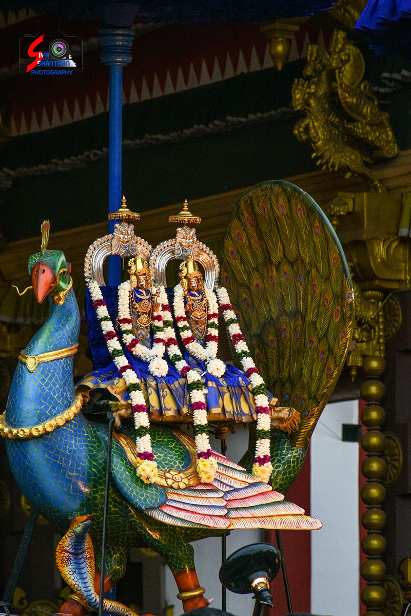 யாழ்ப்பாணம் – நல்லூர் (Nallur) கந்தசுவாமி கோவில் 4ம் திருவிழா 53