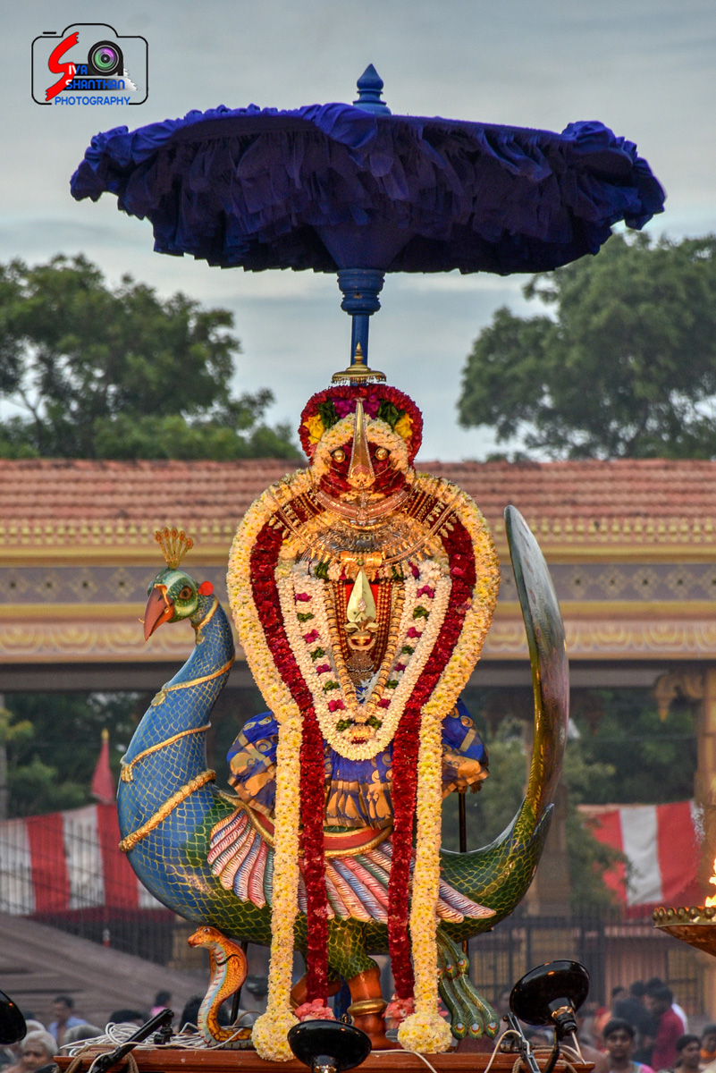 யாழ்ப்பாணம் – நல்லூர் (Nallur) கந்தசுவாமி கோவில் 4ம் திருவிழா 4