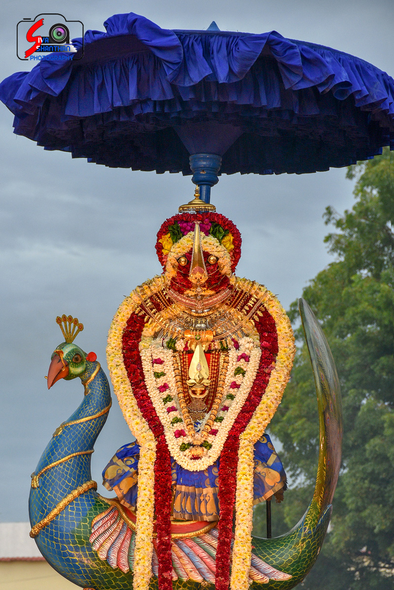 யாழ்ப்பாணம் – நல்லூர் (Nallur) கந்தசுவாமி கோவில் 4ம் திருவிழா 42