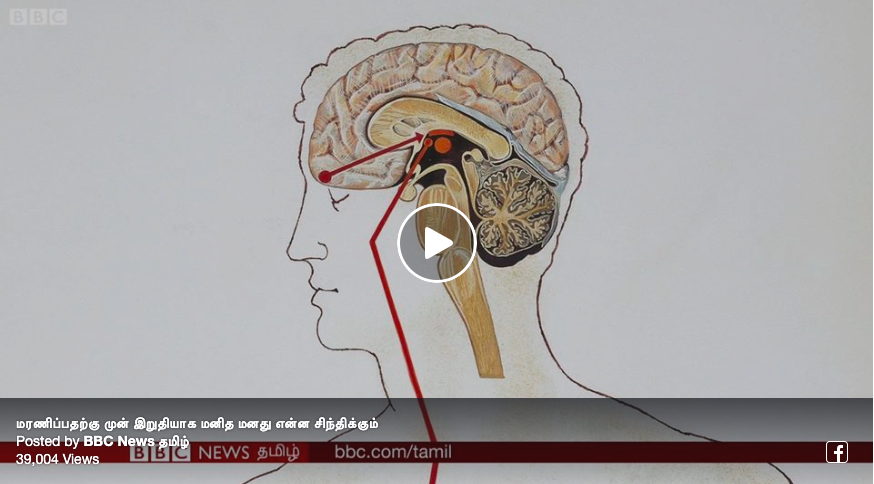 மரணிப்பதற்கு முன் இறுதியாக மனித மனது என்ன சிந்திக்கும்? 7