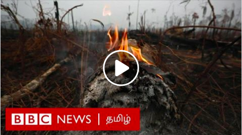 அமேசான் காட்டுத்தீ பரவும் நேரடி காட்சிகள் 4