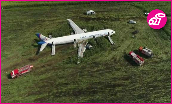 பறவைகள் மோதியதால் விமானம் அவசரமாக தரையிறக்கம் - 226 பயணிகளை காப்பாற்றிய விமானி 5