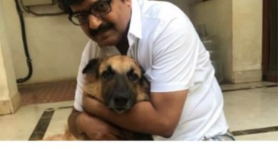 நடிகர் விவேக்கிற்காக சாப்பிடாமல் காத்திருக்கும் நாய்! நெஞ்சை உருக்கும் சம்பவம் 5