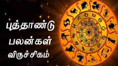 தமிழ் புத்தாண்டு பலன்கள்: சுபகிருது வருடத்தால் விருச்சிக ராசிக்கு காத்திருக்கும் யோகம் என்ன?￼ 1
