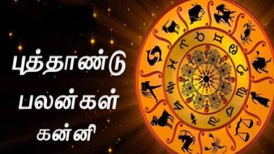 தமிழ்புத்தாண்டு பலன்கள்... கன்னி சுபகிருது தரும் அதிர்ஷ்டமான பலன்கள் என்ன?￼ 3