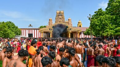 nallur kodiyetram 2025 photos