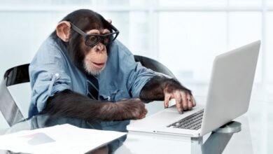 Elon Musk update on Neuralink: மூளையில் பொருத்திய சிப் மூலம் வீடியோ கேம் விளையாடும் குரங்கு - எப்படி சாத்தியம்? 6