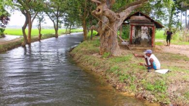 யாழில் எழில் கொஞ்சும் சொர்கபுரியான பிரதேசம்!! 3