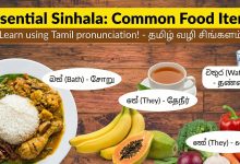 Essential Spoken Sinhala: Common Food & Drink