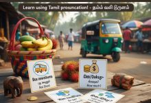 Travel Vocabulary | பயண சொற்களஞ்சியம் | ගමන් ශබ්දකෝෂය