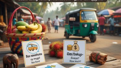 Travel Vocabulary | பயண சொற்களஞ்சியம் | ගමන් ශබ්දකෝෂය