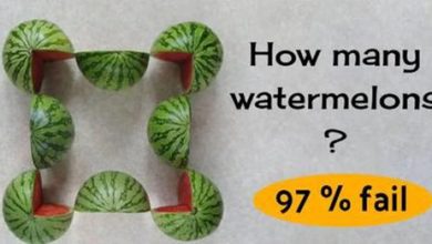 How Many Watermelons Are In This Picture