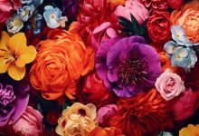 Three-Language Flower Dictionary 1