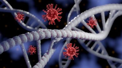 கொரோனா தடுப்பூசி குழந்தை பெற்றுக் கொள்ளும் தன்மையை பாதிக்குமா? - உண்மை என்ன?-what are the side effects of covid 19 vaccine in tamil 6