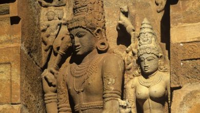 rajendra solan history