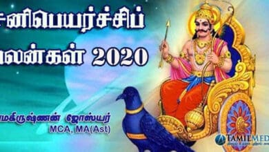 2020 - 2023 சனிப் பெயர்ச்சி பலன்கள் 1