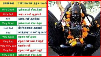 தனுசு, மகரம், கும்பத்துக்கு ஏழரை சனி! சனிப்பெயர்ச்சியால் எந்த ராசிக்காரர்களுக்கு ராஜயோகம் தேடி வரும்? யாருக்கெல்லாம் ஆபத்து தெரியுமா? 6