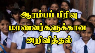 ஆரம்பப்பிரிவு மாணவர்களுக்கு பாடசாலை ஆரம்பிப்பது தொடர்பான அறிவித்தல் - Sri Lanka School Open Date Update 7