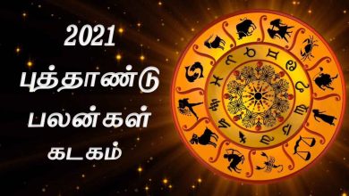 சுபகிருது தமிழ் புத்தாண்டு பலன்கள்.. கடக ராசிக்கு உண்டாகும் யோகம் என்ன? 1